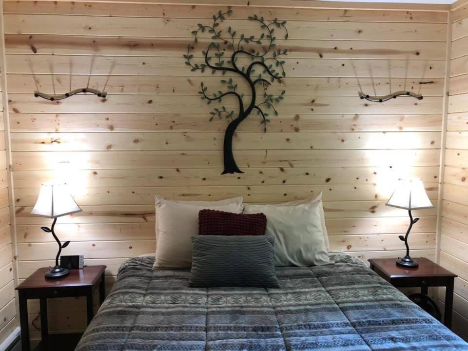 Susitna River Lodging, Backwoods Cabins تالكيتنا المظهر الخارجي الصورة