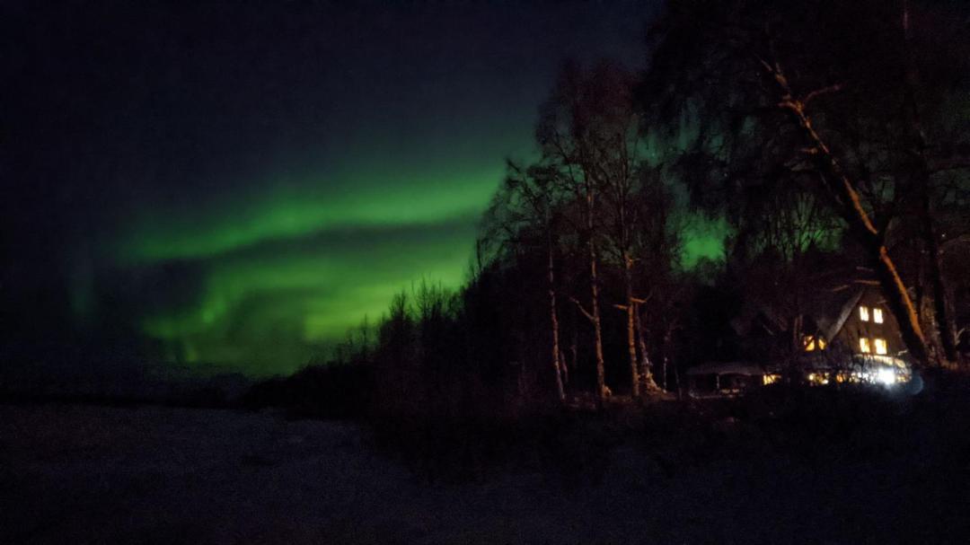Susitna River Lodging, Backwoods Cabins تالكيتنا المظهر الخارجي الصورة